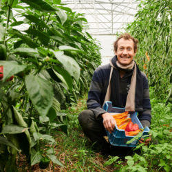 2020-10-15-Certisys-0027 agriculteur avec des poivrons bio