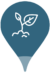 pictogramme jeune pousse