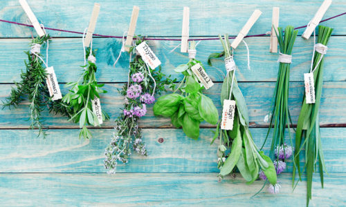 certisys-image-24 ensemble d'aromates bio