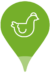 pictogramme poule
