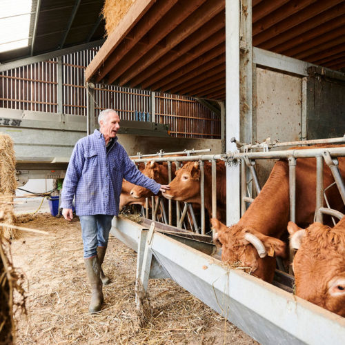 2020-10-15-Certisys-0247 Agriculteur dans sa ferme