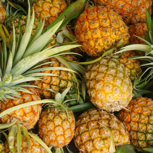 shutterstock_164089904 ananas bio