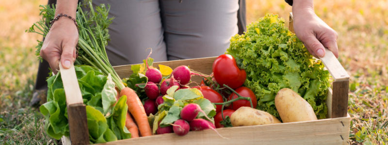 shutterstock_231382711 panier de légumes bio proposé par CERTISYS