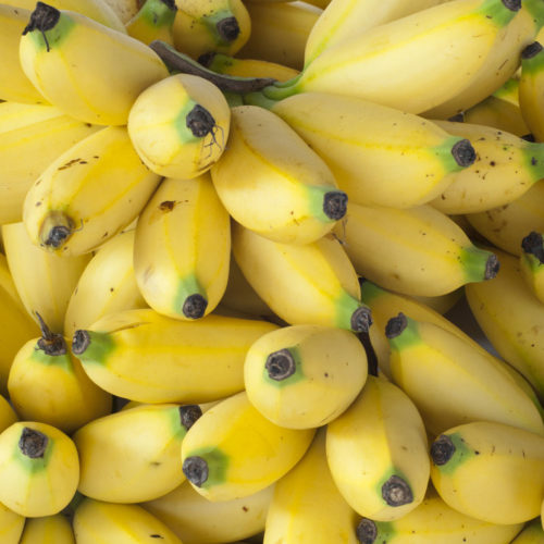 shutterstock_83363764 banane bio