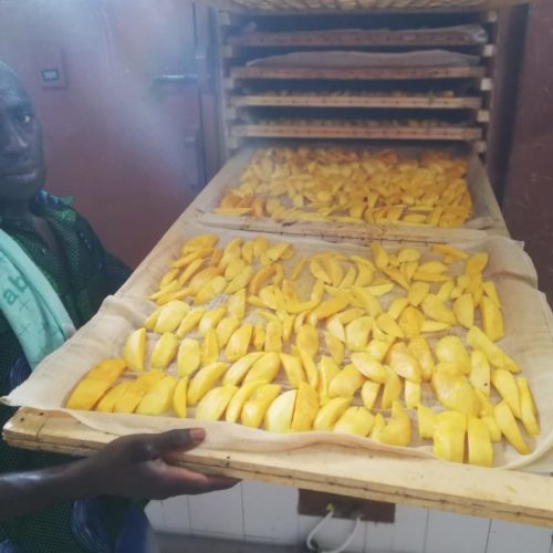 Burkina 1 (12) Homme tenant une palette de mangues