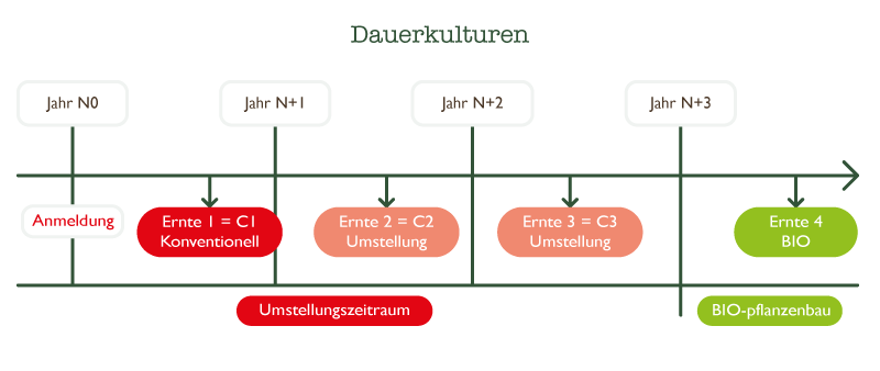 schema-producteurs-kulturen