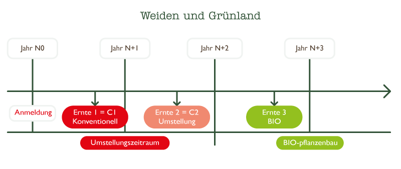 schema-producteurs-weiden