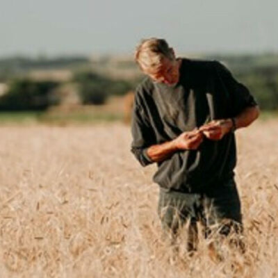 Sécurité alimentaire Voedselveiligheid Sécurité alimentaire Voedselveiligheid