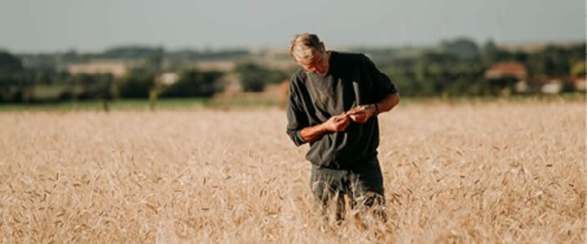 Guides d'Autocontrôle en sécurité alimentaire