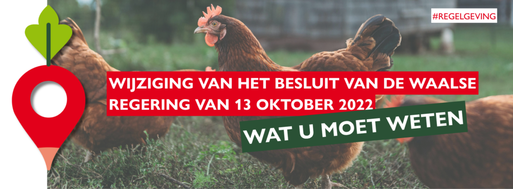 Wijziging van het besluit van de Waalse Regering van 13 oktober 2022 Wijziging van het besluit van de Waalse Regering van 13 oktober 2022